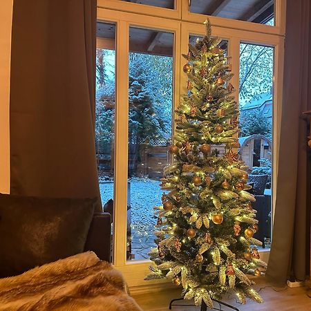 Chalet Ferienhaus 德累斯顿 外观 照片